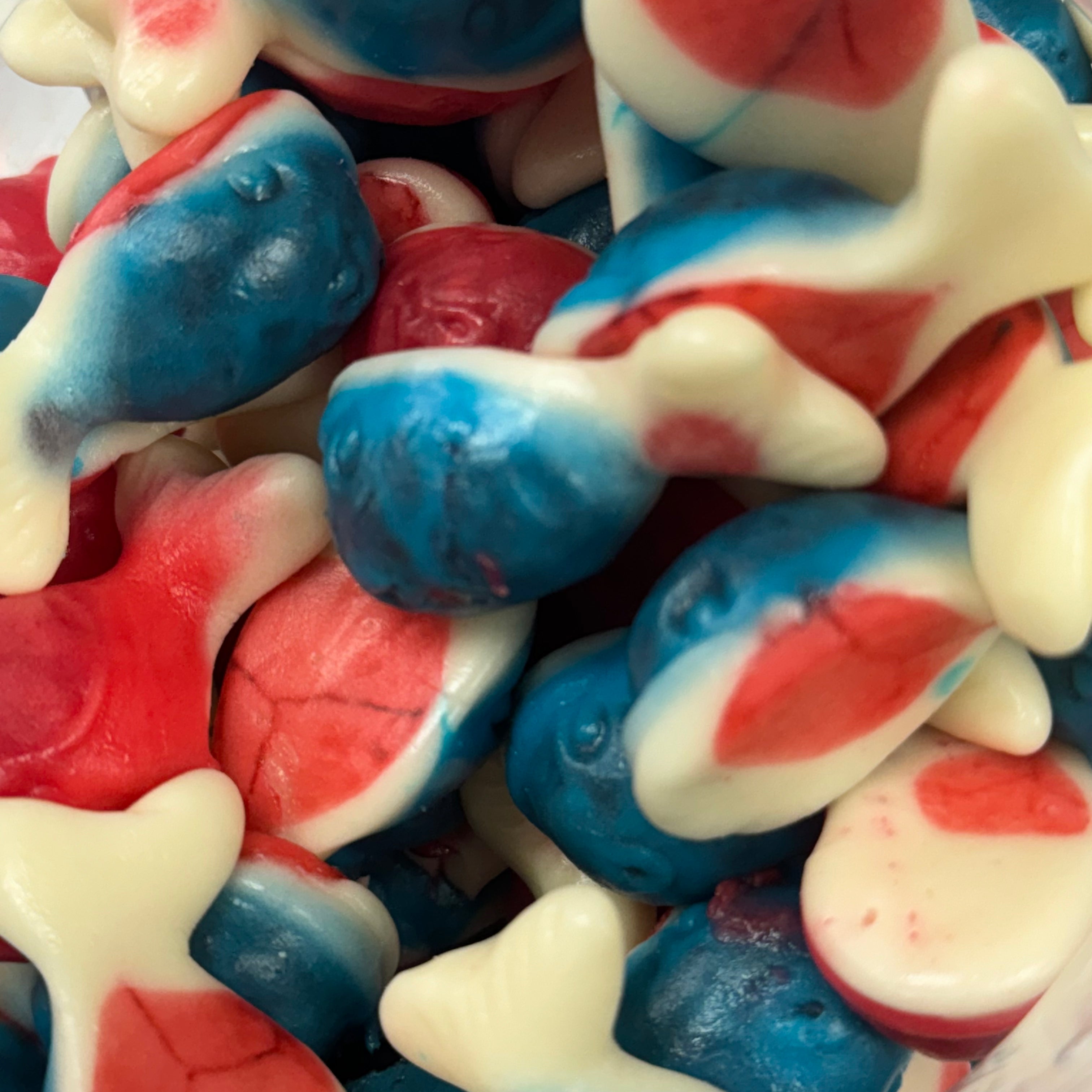 Jelly Filled Whales