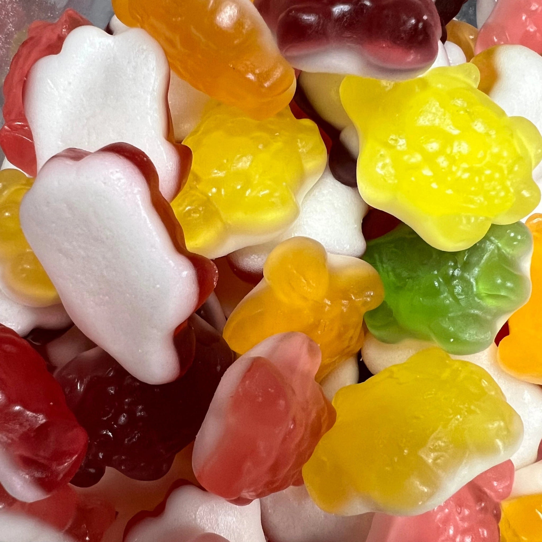 Coloured turtles - Dream Candy