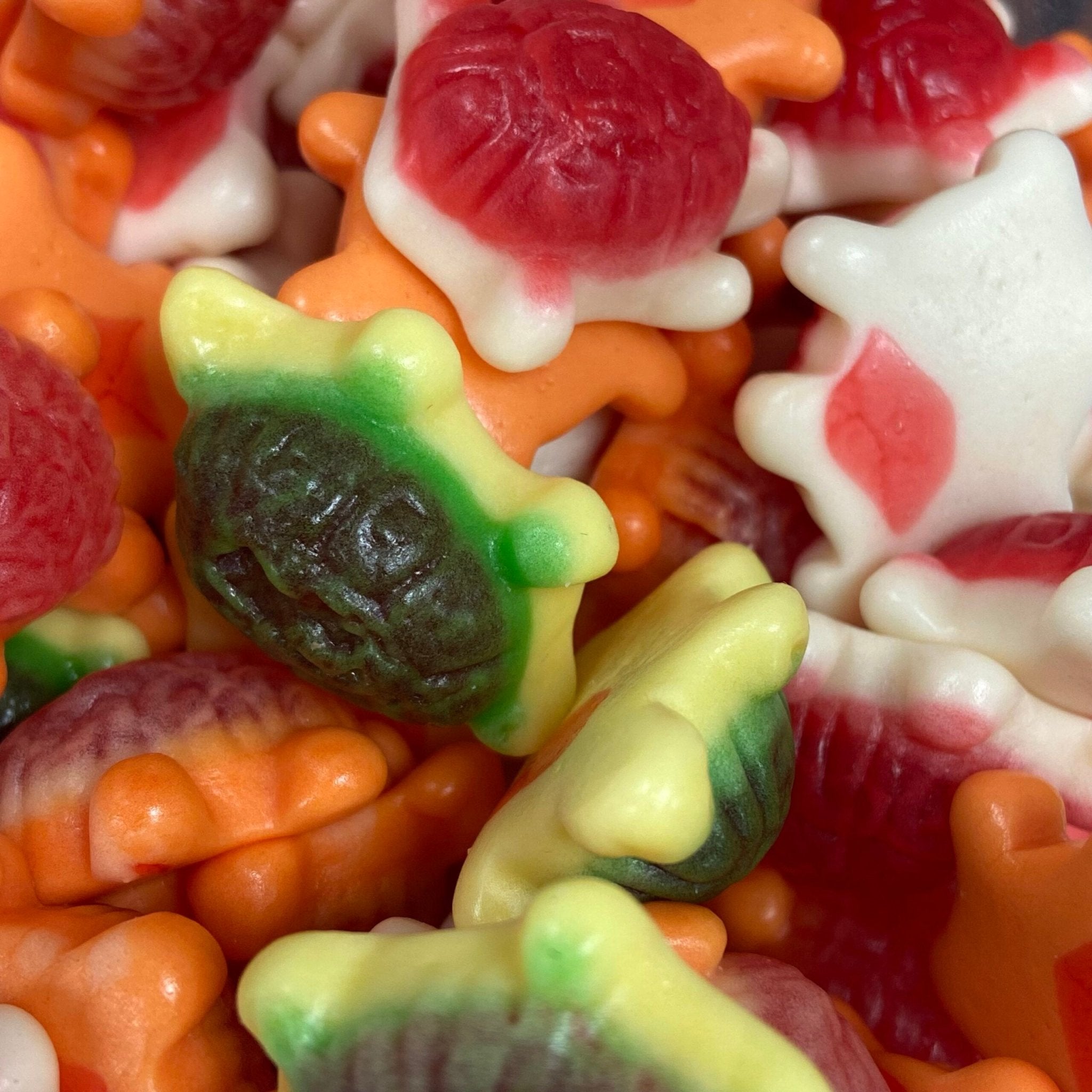 Jelly filled turtles - Dream Candy