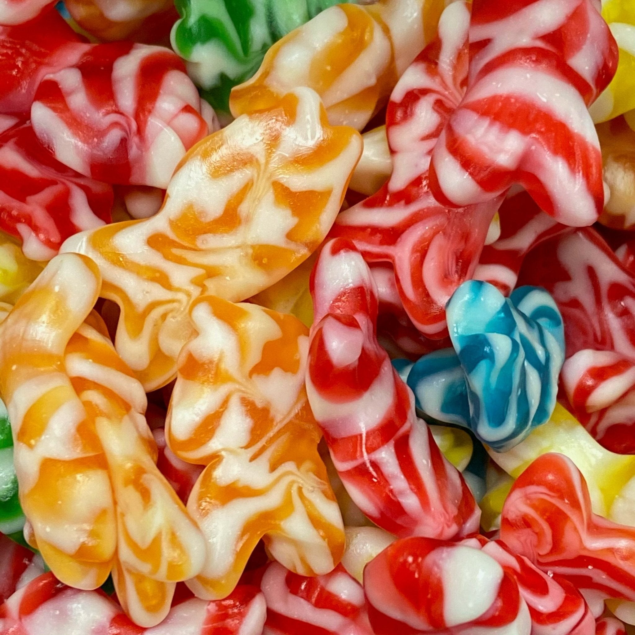 Swirly Fish - Dream Candy