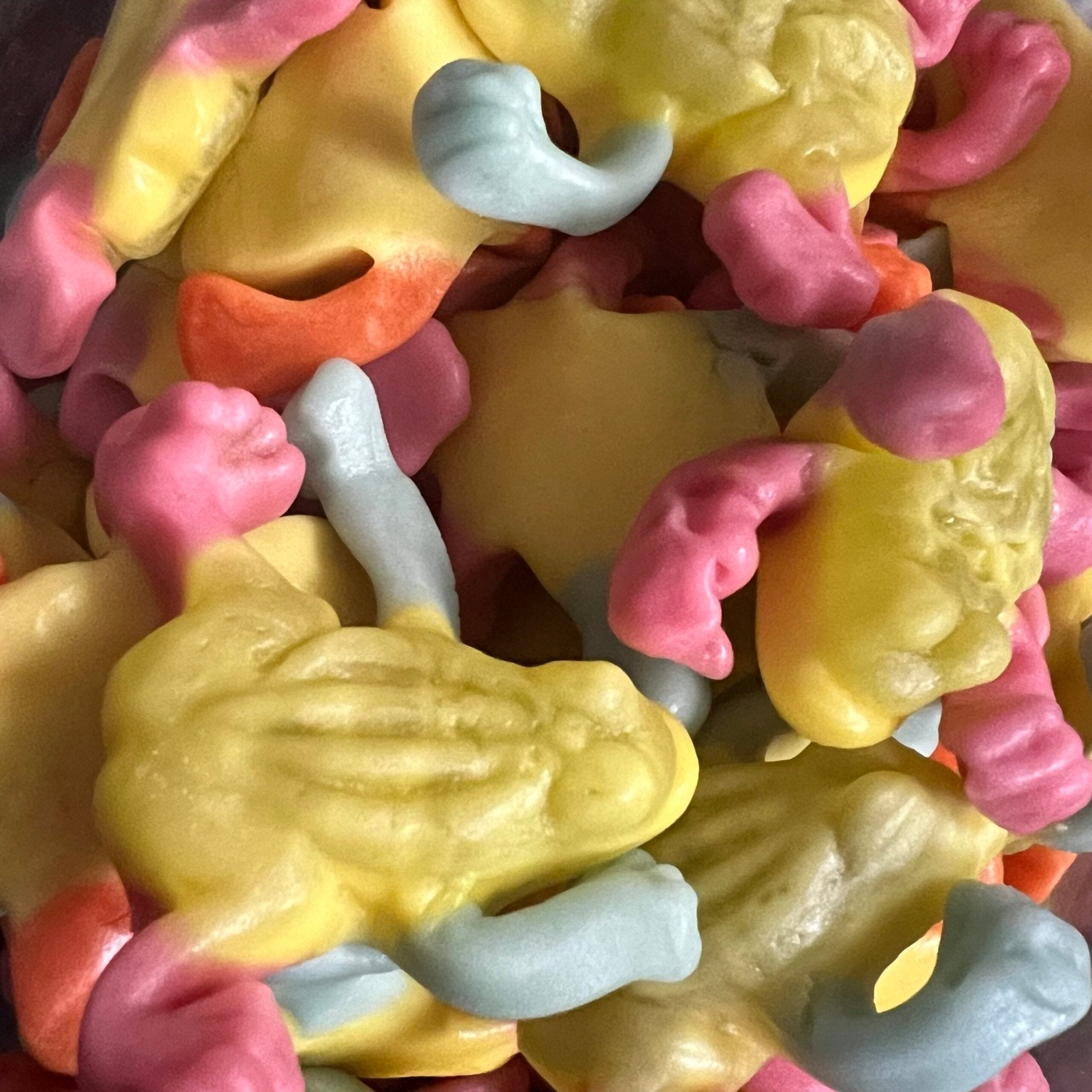Jelly filled Tropical Frogs - Dream Candy